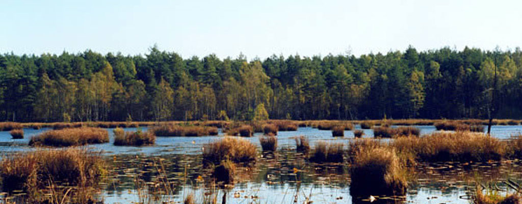 Chełmski Park Krajobrazowy